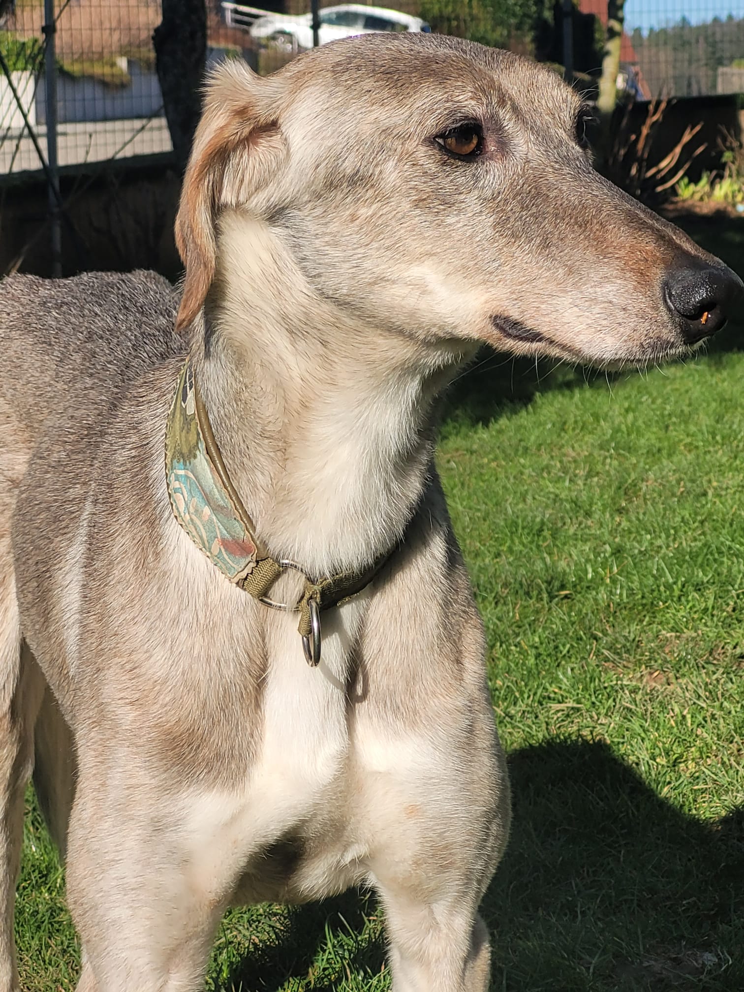 WhatsApp Image 2022 02 09 at 14.44.54