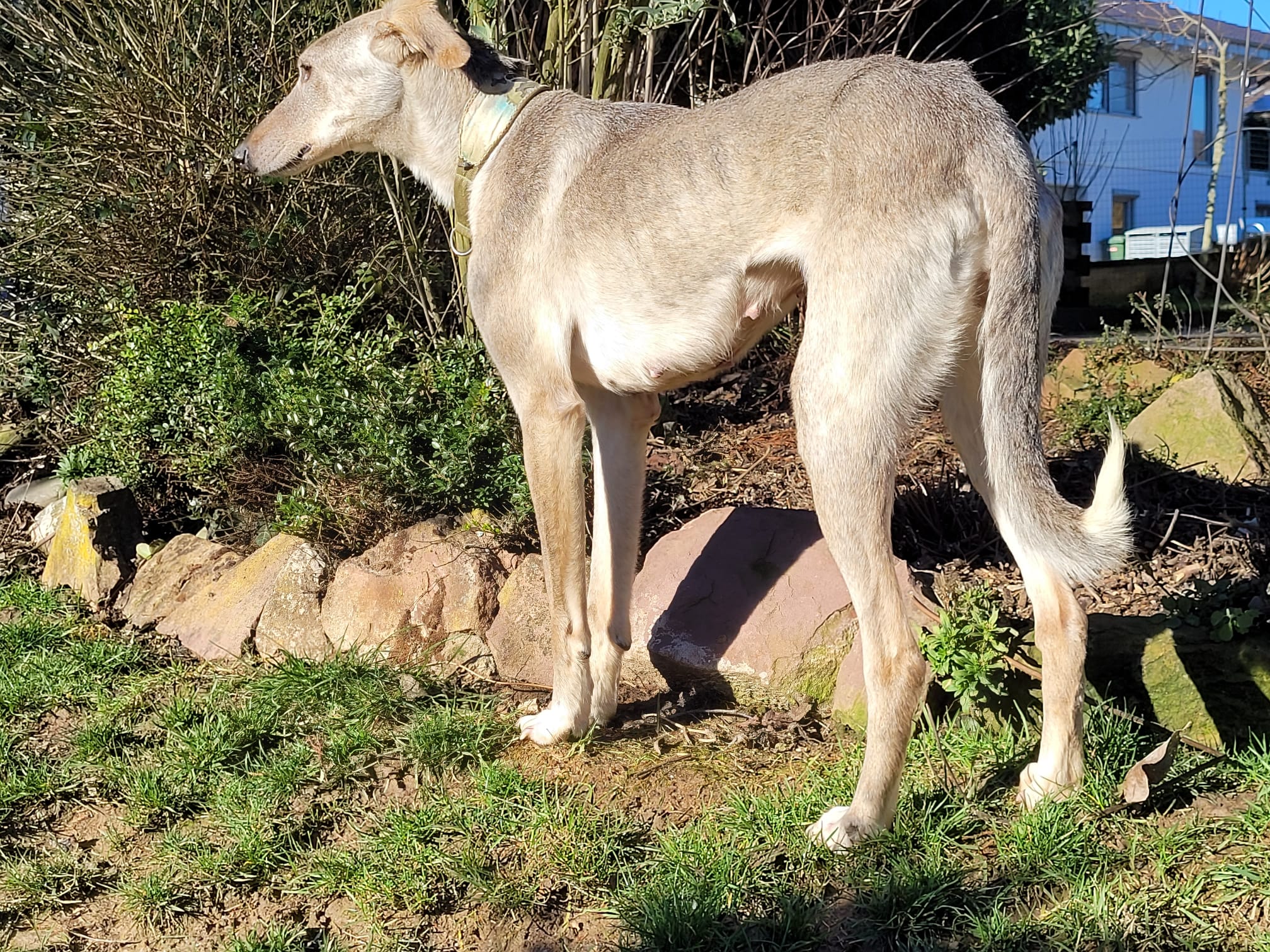 WhatsApp Image 2022 02 09 at 14.44.55