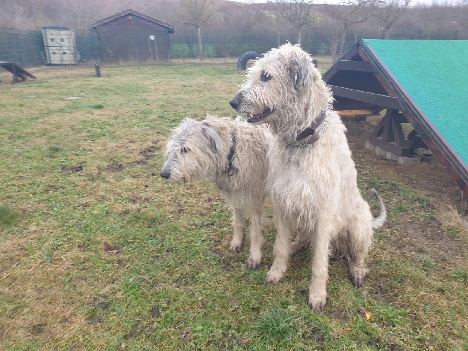 WhatsApp Image 2022 02 11 at 19.40.33