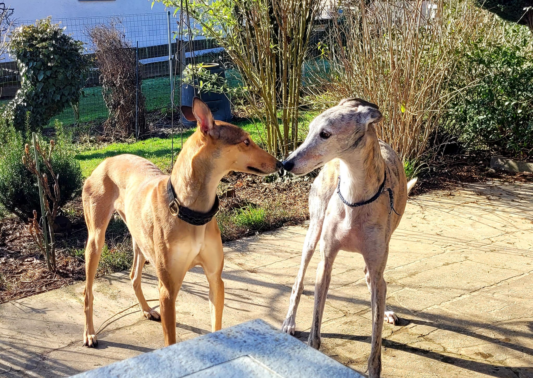 WhatsApp Image 2022 02 12 at 14.06.05