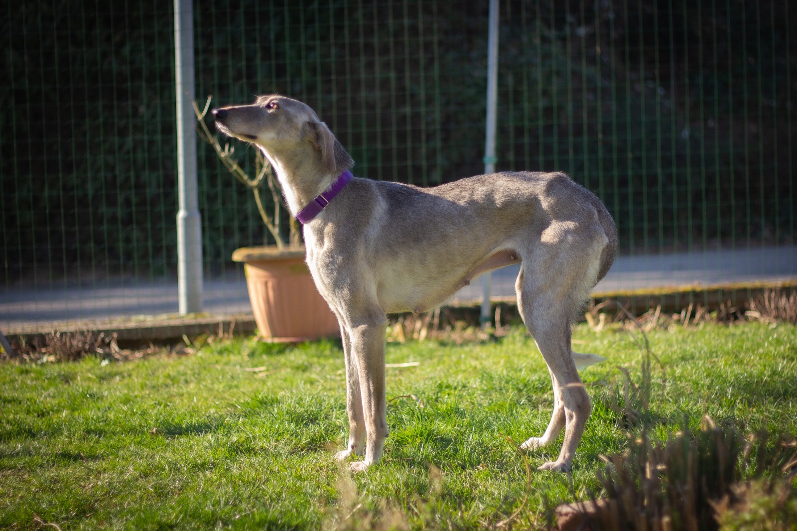 WhatsApp Image 2022 02 27 at 21.35.17