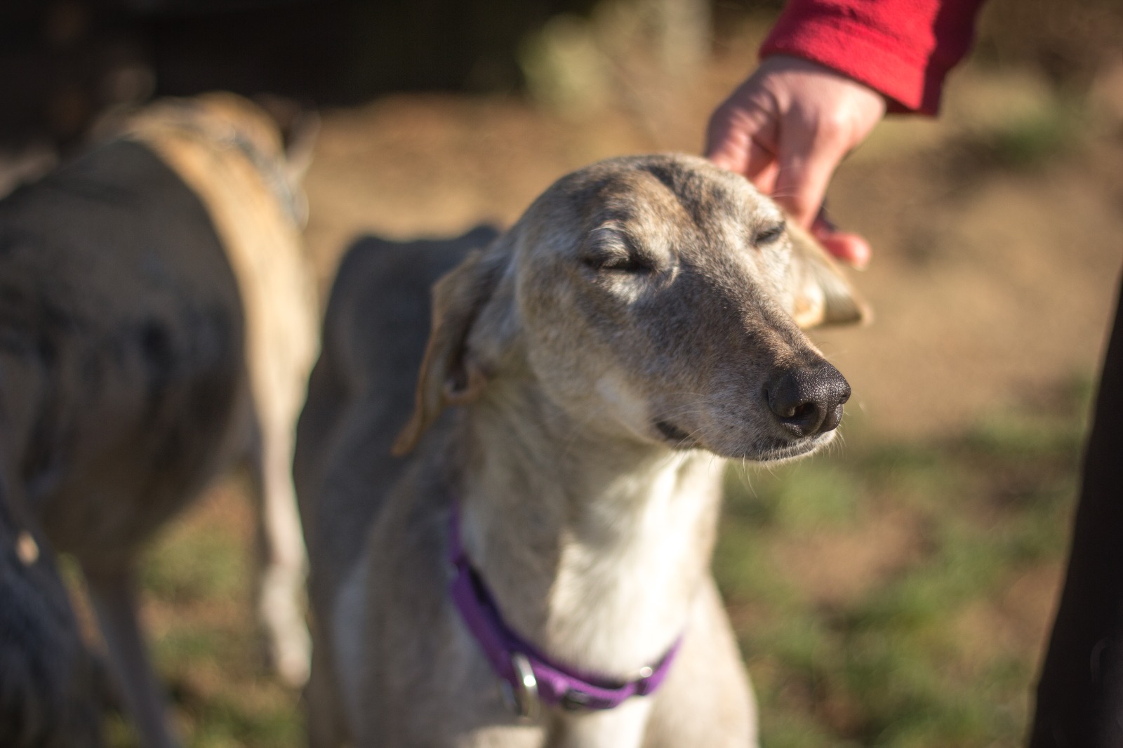 WhatsApp Image 2022 02 27 at 21.38.45