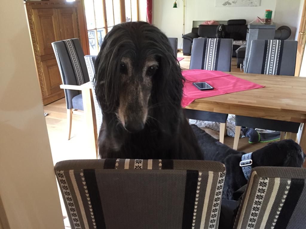 WhatsApp Image 2022 03 06 at 19.10.09