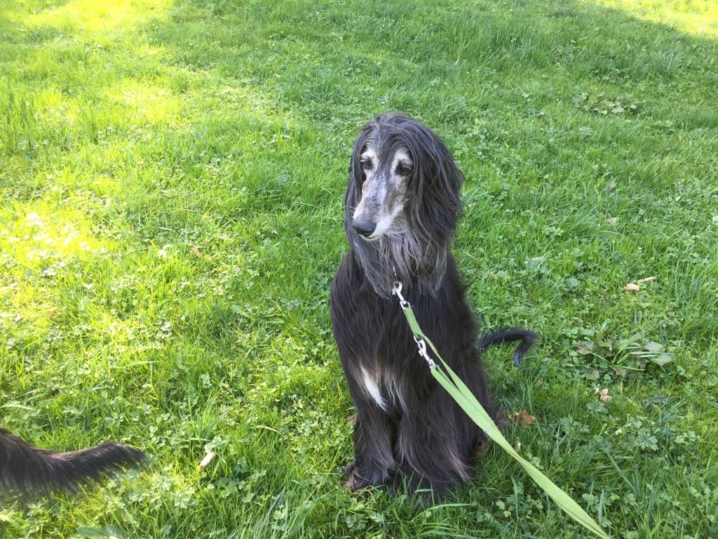 WhatsApp Image 2022 03 06 at 19.11.55