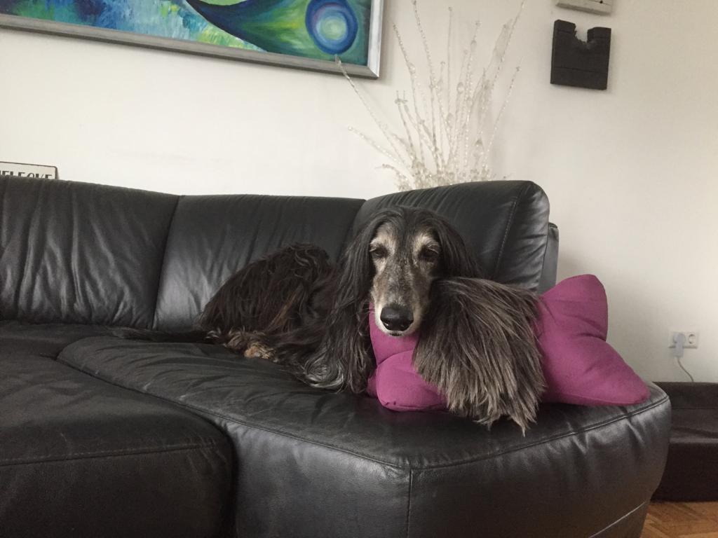 WhatsApp Image 2022 03 06 at 19.12.34