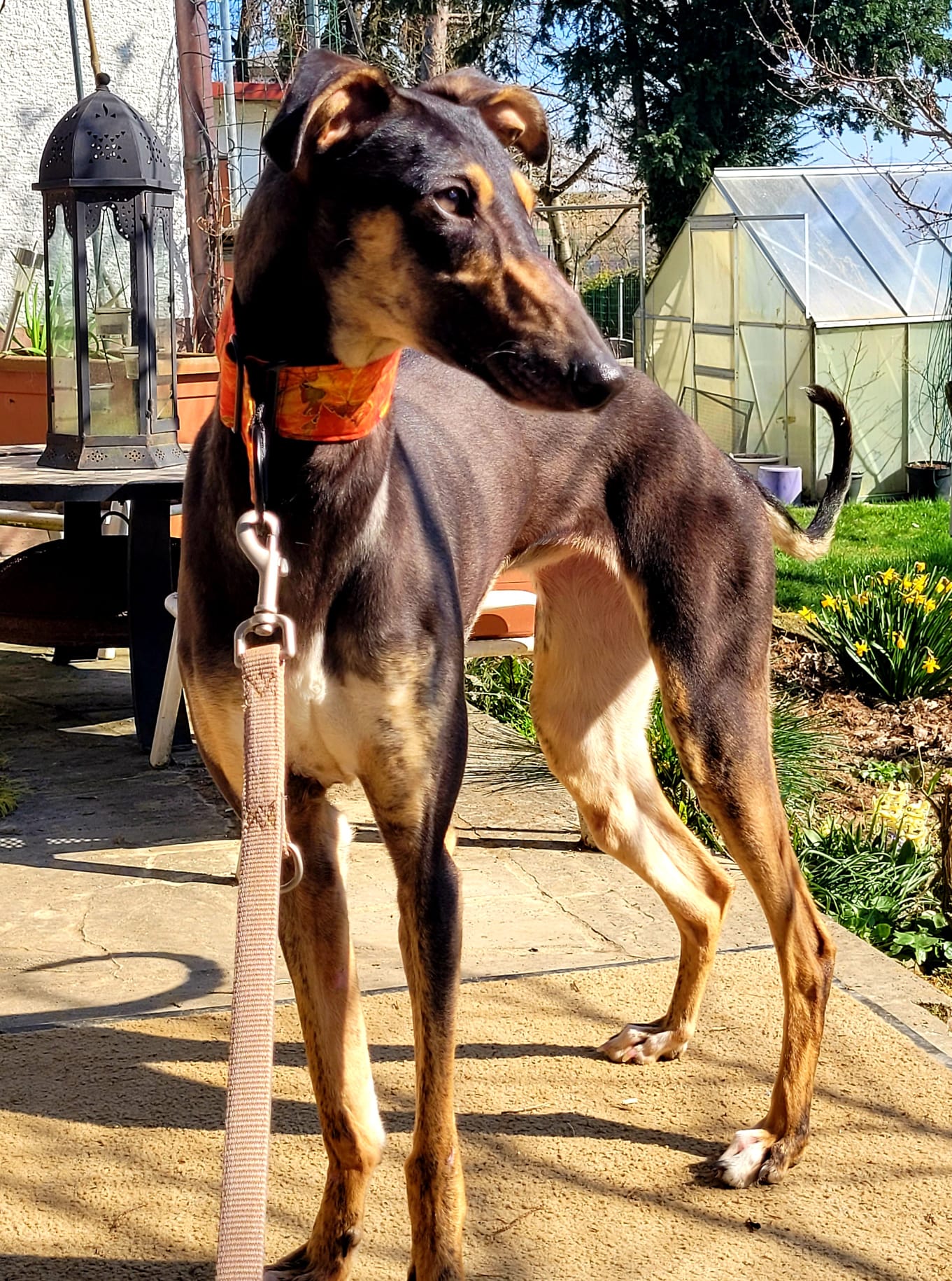 WhatsApp Image 2022 03 22 at 14.42.48 2