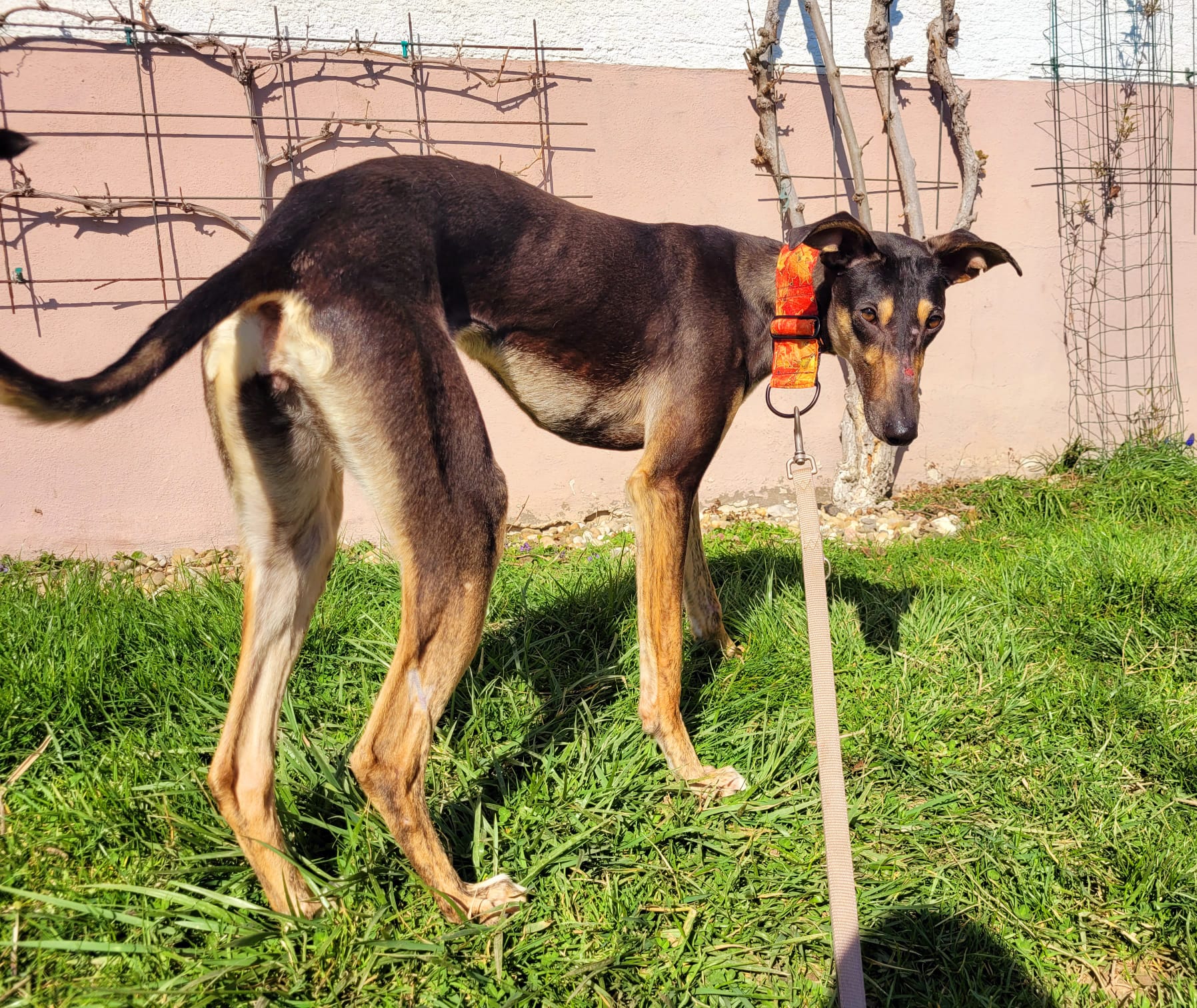 WhatsApp Image 2022 03 22 at 14.42.50