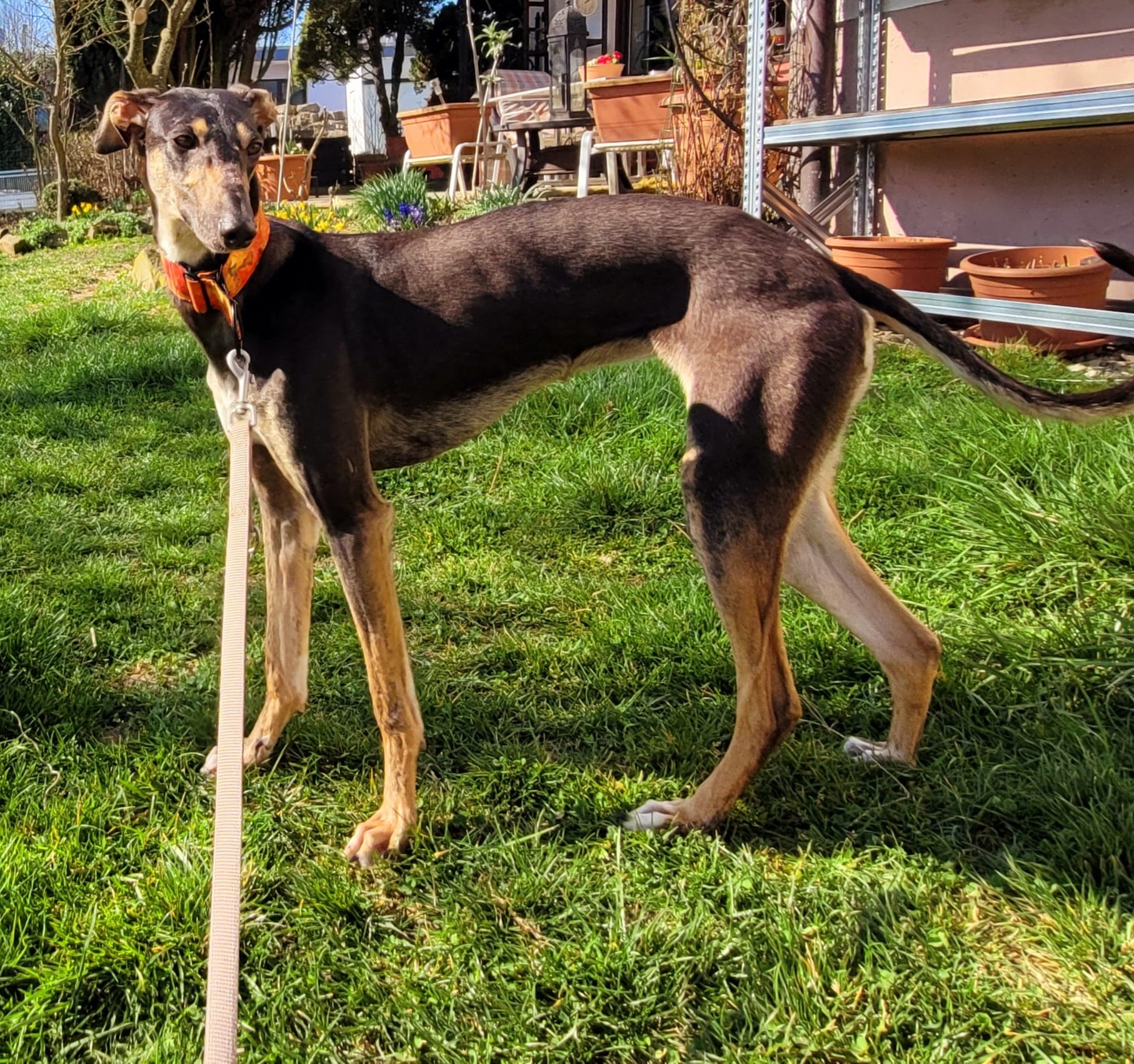 WhatsApp Image 2022 03 22 at 14.42.50 3