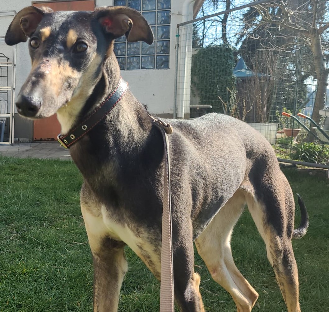 WhatsApp Image 2022 03 23 at 10.51.47 3