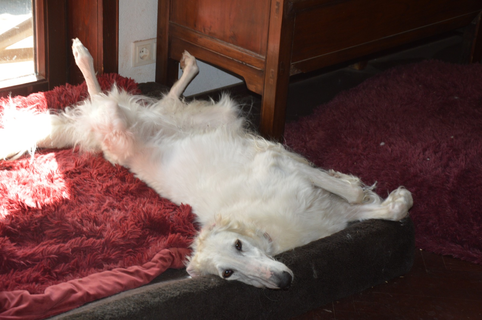 WhatsApp Image 2022 07 18 at 18.28.52