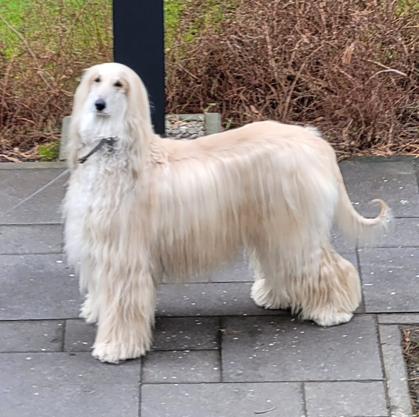 WhatsApp Image 2022 07 30 at 17.38.40 2