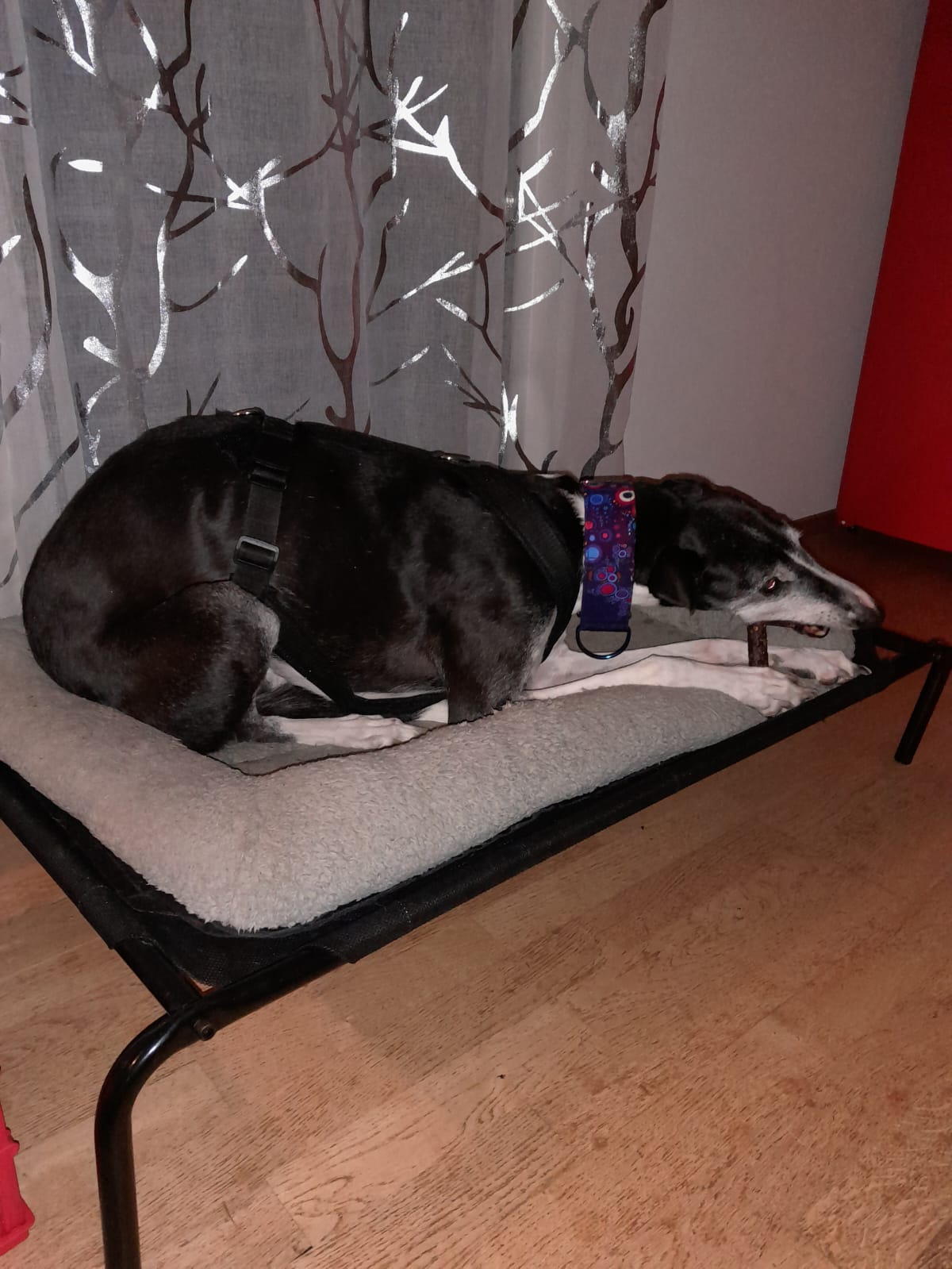 WhatsApp Image 2022 10 15 at 22.23.20