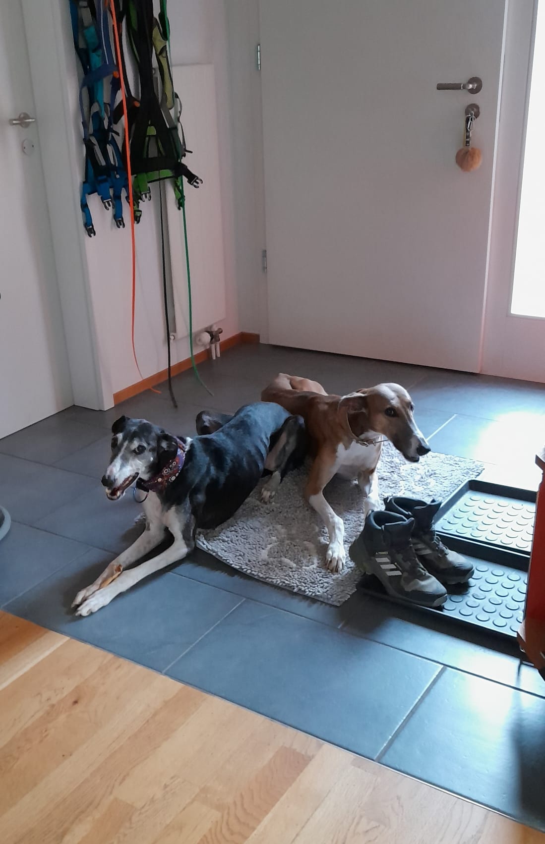 WhatsApp Image 2022 10 20 at 17.37.22