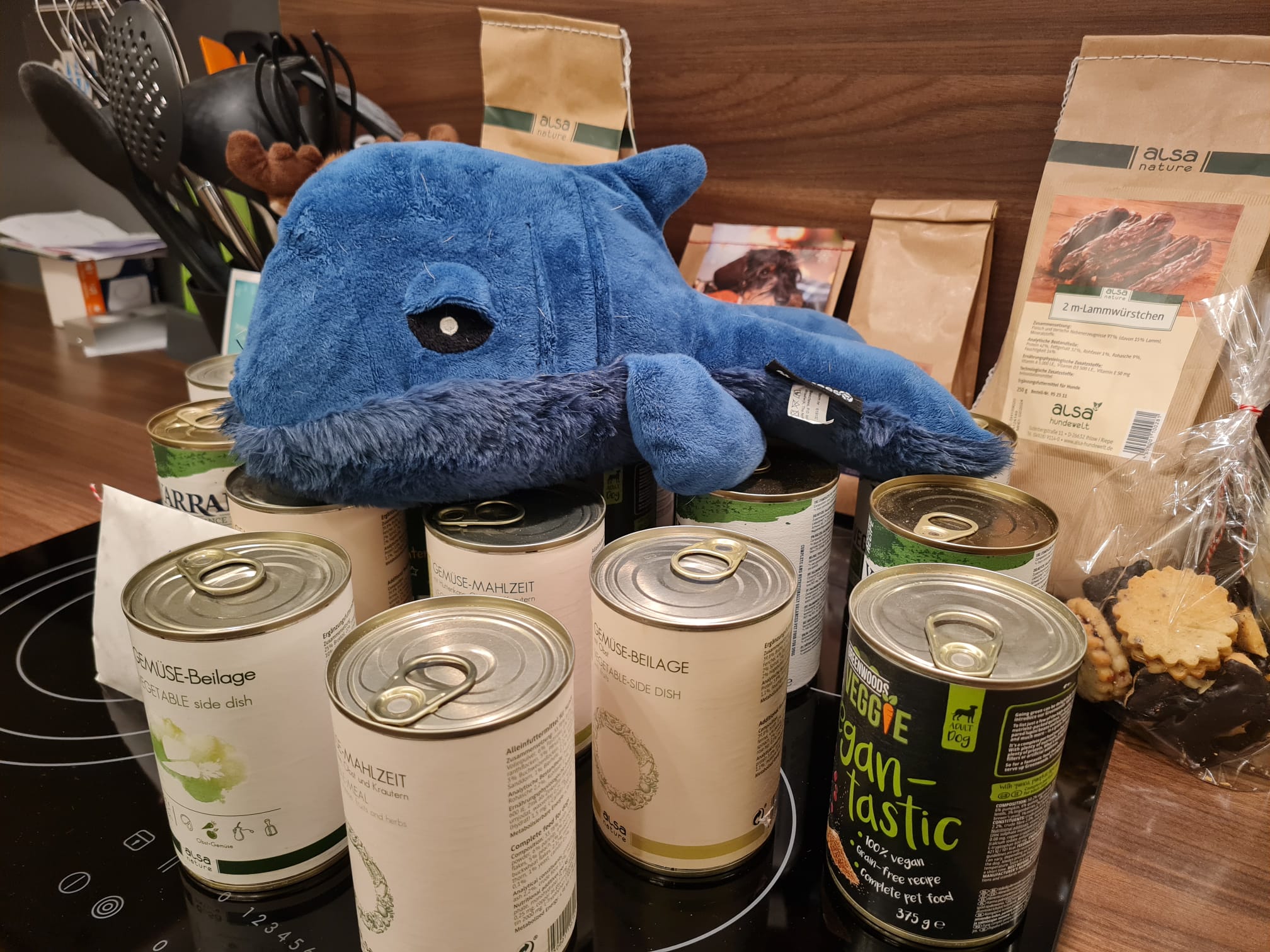 WhatsApp Image 2022 12 16 at 22.04.02