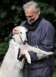 Barsoi-Hündin: WANDA