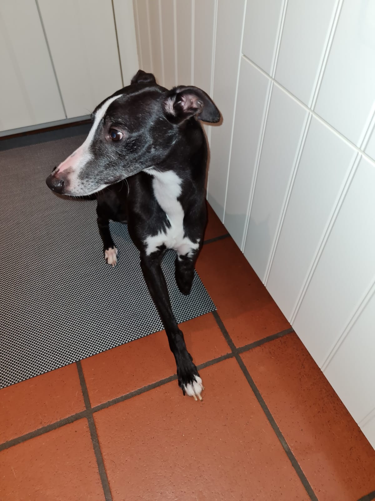 bibi Küche 2 sitzend