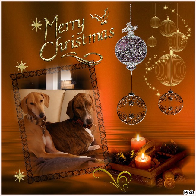 e3b1cab636202ae9c55fa2672d47fb5a