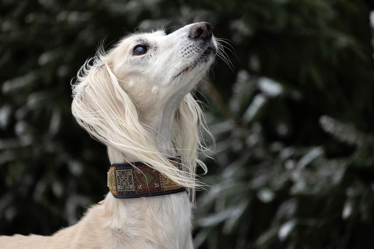 received 434045284937201